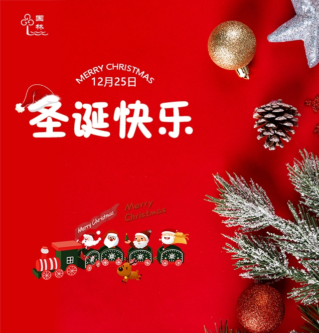 圣誕節(jié)收不到禮物不如和國(guó)林開(kāi)水器一起飲一杯健康水